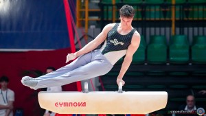 serie b 0741 simone ferraro ph